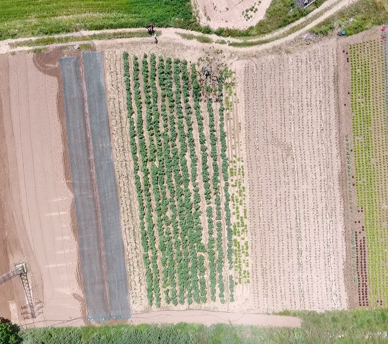 Grup arenal apuesta por productos ecológicos y de proximidad